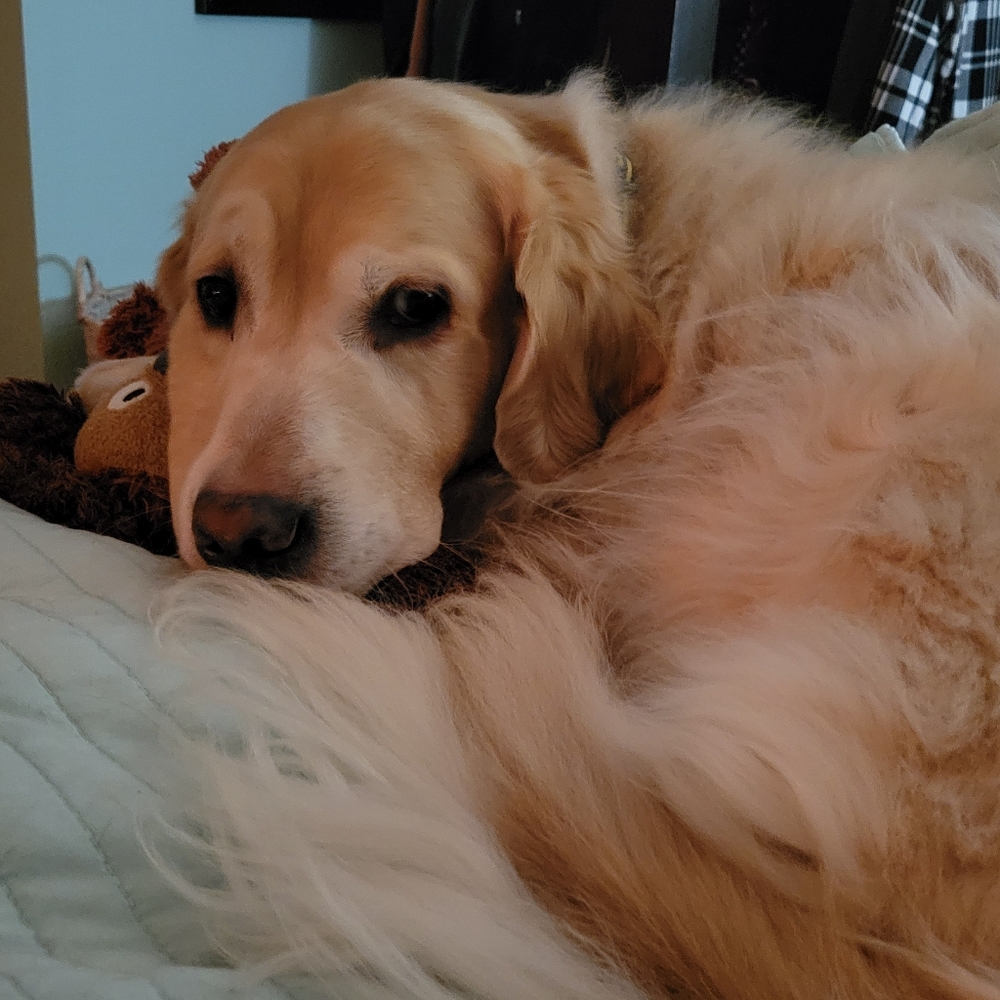 Meet your Posher, Sebastian